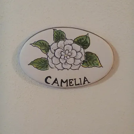 Del Monacone Guest house